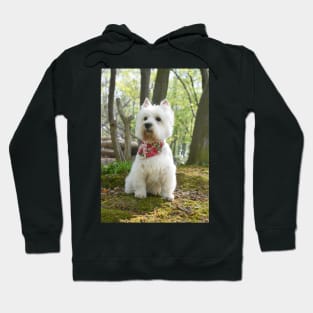 Westie in the woods Hoodie